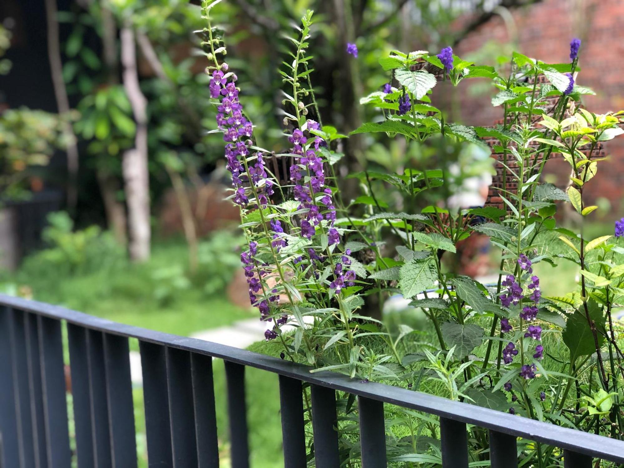 Kaia Residence Danang Quiet Garden Екстериор снимка