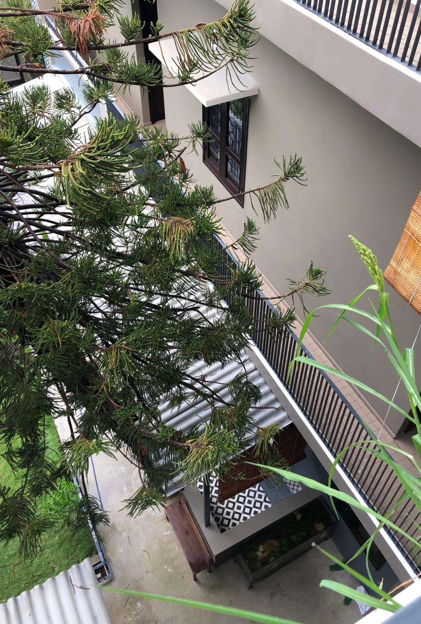 Kaia Residence Danang Quiet Garden Стая снимка